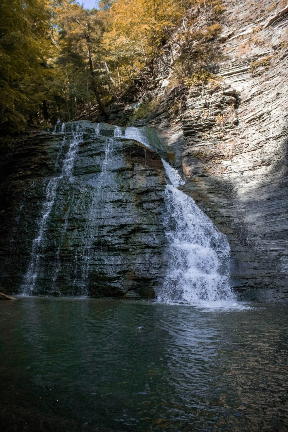 waterfalls near green trees during daytime