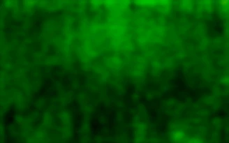 A vibrant lime green abstract background symbolizing innovation and growth.