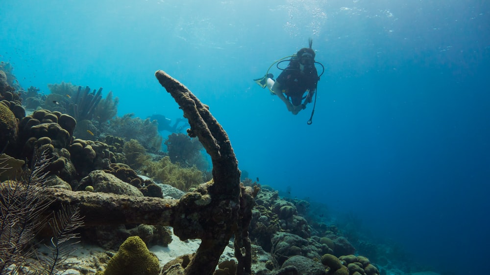 scuba diver swimming underwater