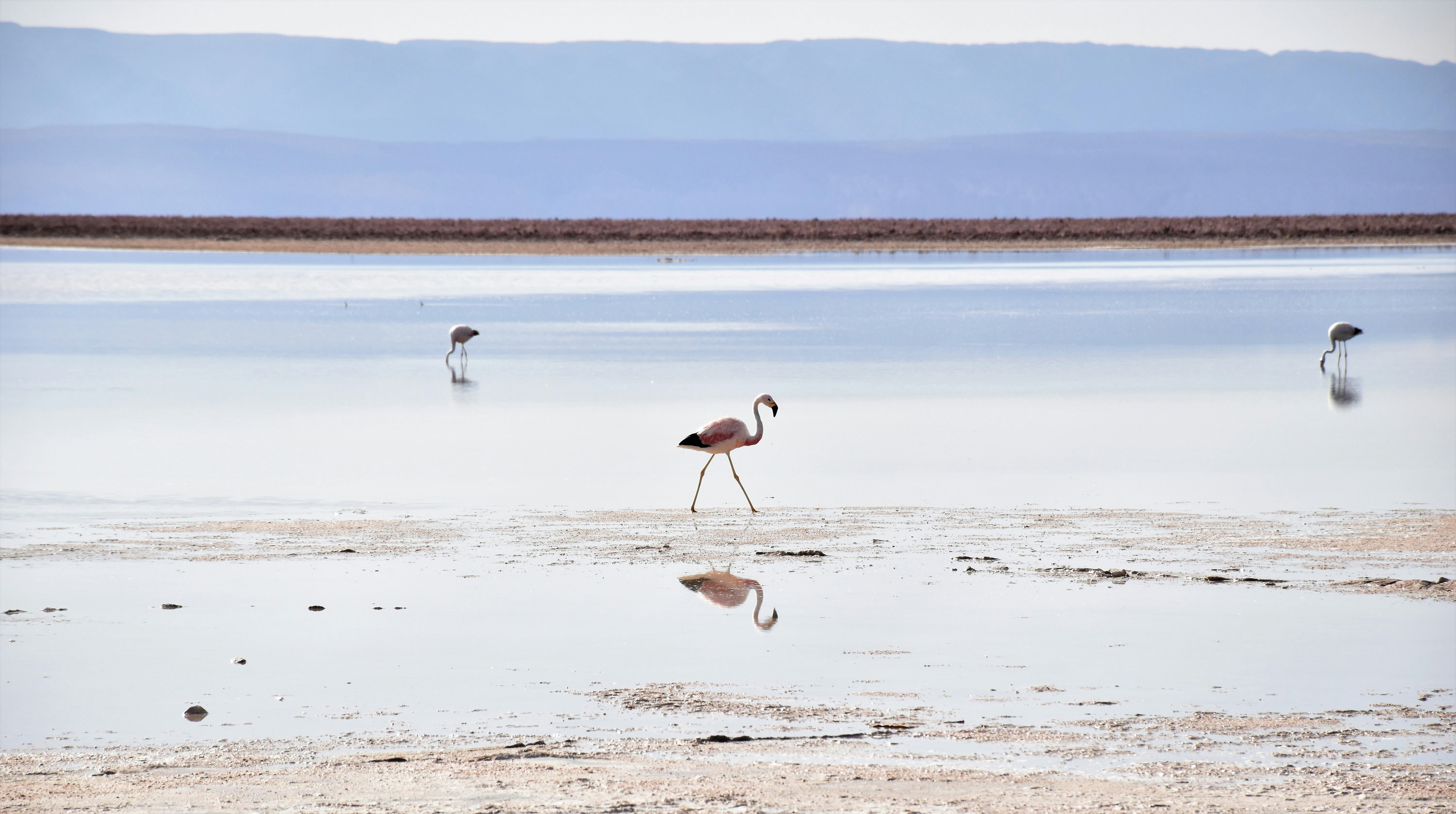 Photo by john_vincent