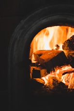 burned woods in fireplacfe