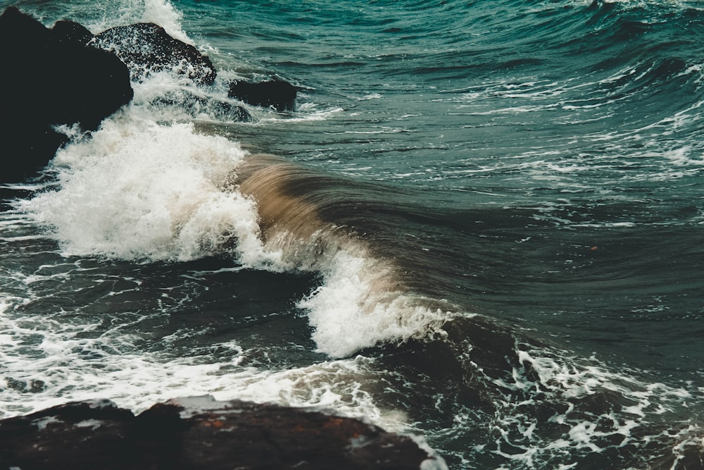 Photographie de vague de mer
