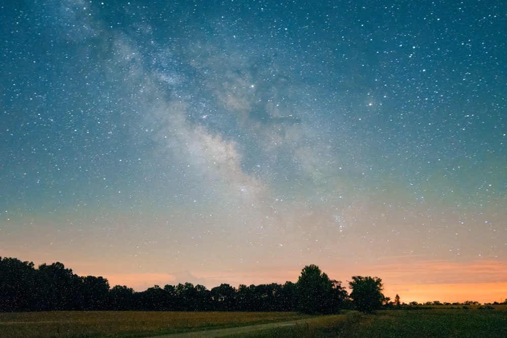 昼間の星空下の緑の野原の風景写真