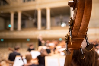 Close-up of musicians from a string quartet tuning their instruments before a concert.