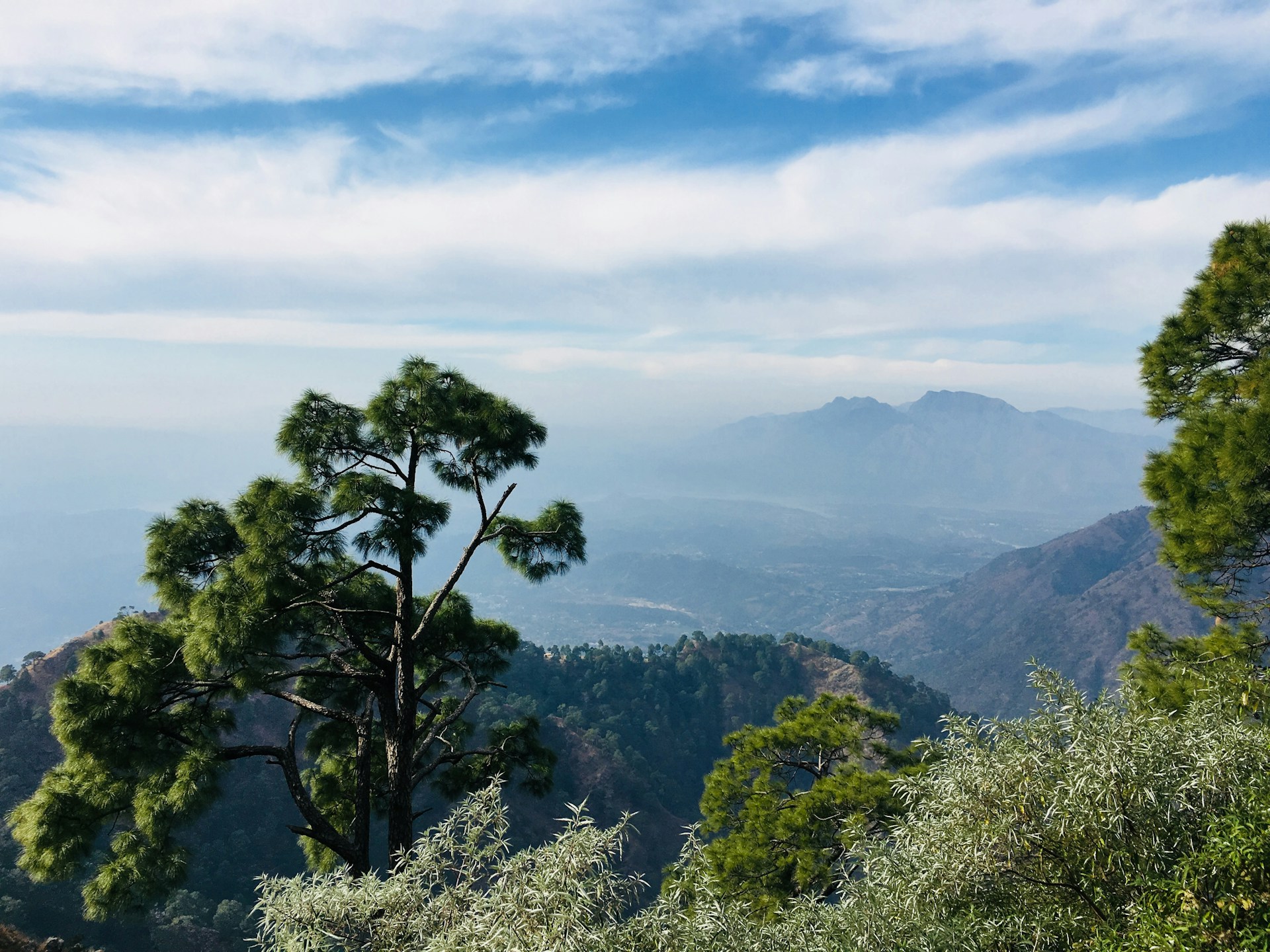 gray computer monitor