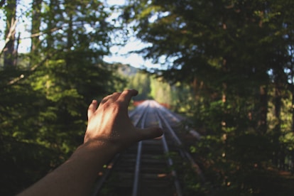 person reaching train railways between trees