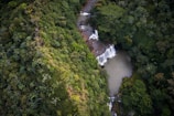 A panoramic view of a hidden waterfall cascading into a crystal-clear pool surrounded by dense forest.