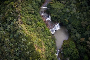 A panoramic view of a hidden waterfall cascading into a crystal-clear pool surrounded by dense forest.