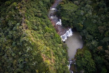 An aerial view captures a picturesque waterfall cascading into a serene pool surrounded by dense, lush greenery. The verdant forest envelops the waterfall, creating a tranquil and secluded atmosphere.