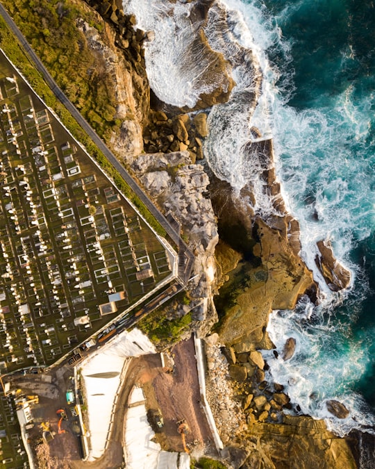 aerial shot photo of houses near body of water in Waverley Cemetery Australia