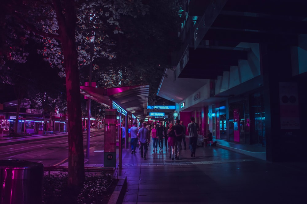 group of people walking between building and trees