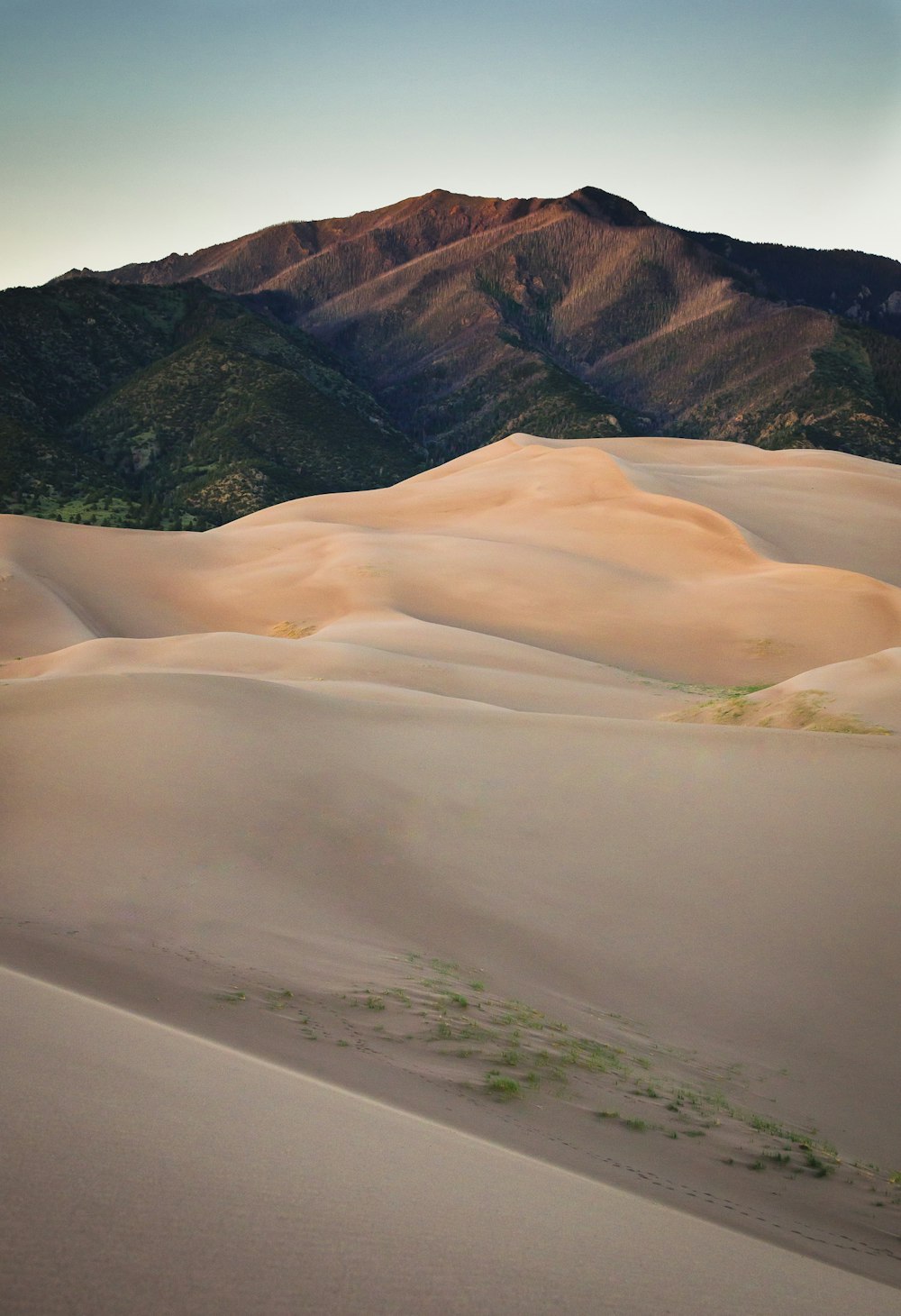 sand dunes near brown mountain