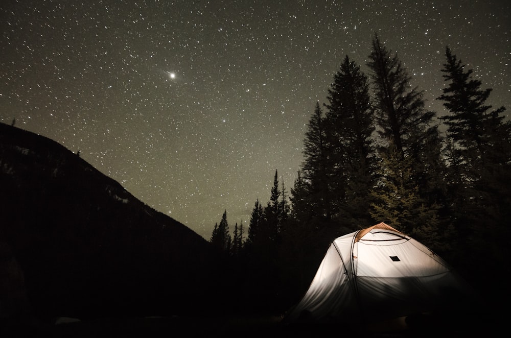 tent at the field near trees during night