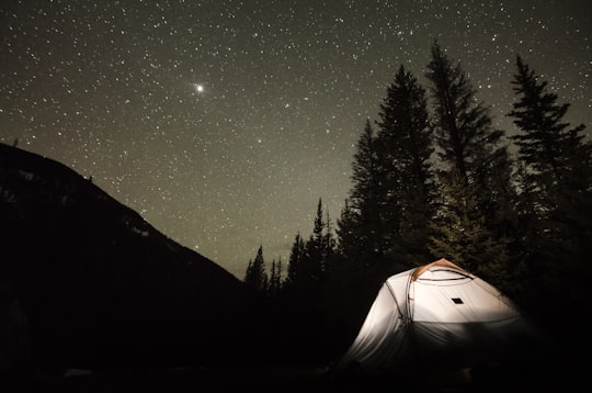 tent at the field near trees during night in San Luis Valley United States