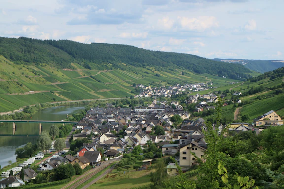 A picturesque village nestled in a lush, green valley surrounded by rolling hills and expansive vineyards. A river flows gently alongside the village, with a bridge crossing over it. The buildings in the village are predominantly traditional houses with slate roofs, interspersed with patches of greenery. The landscape is peaceful and idyllic, conveying a sense of rural charm and serenity.