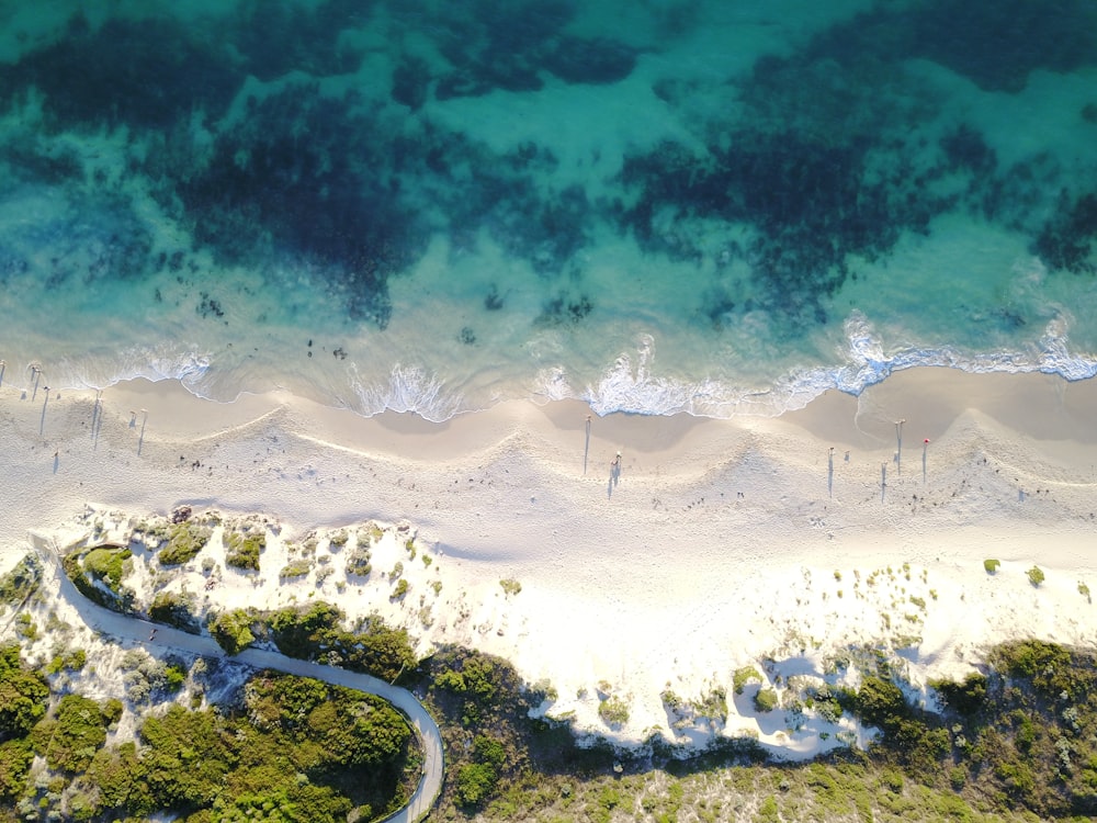 aerial view of ocean beside trees during daytime