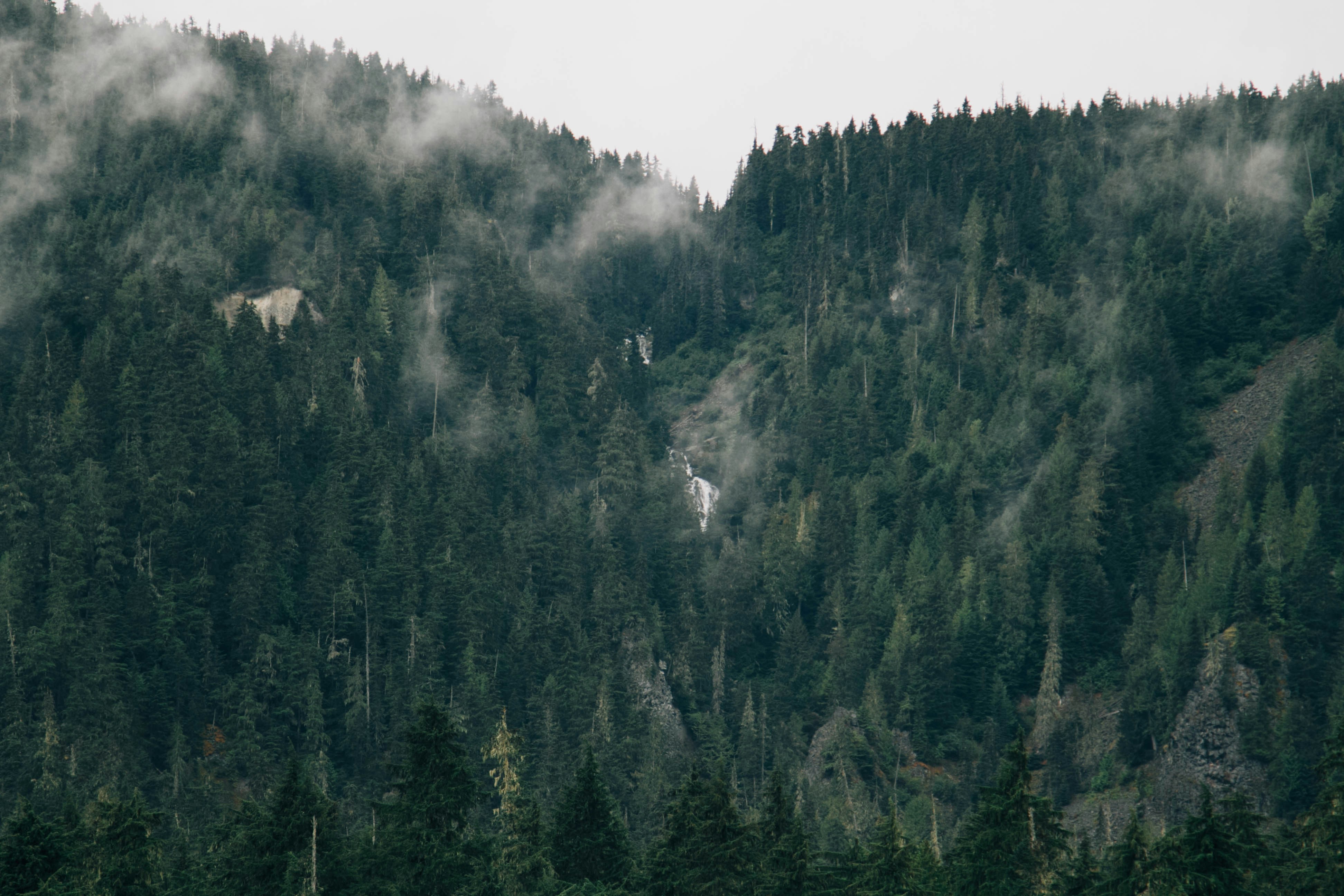 Photo by nate_dumlao