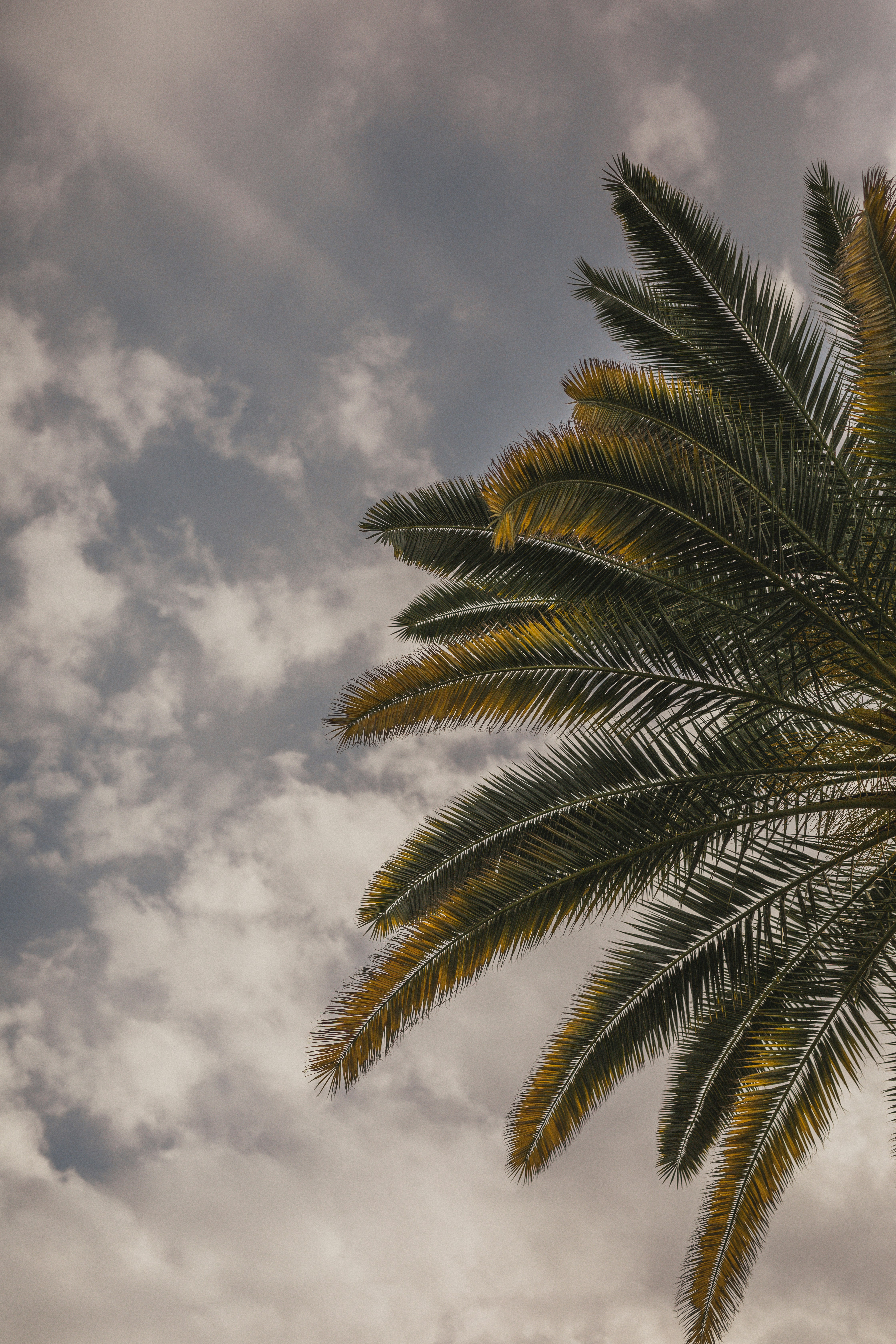 Photo by nate_dumlao