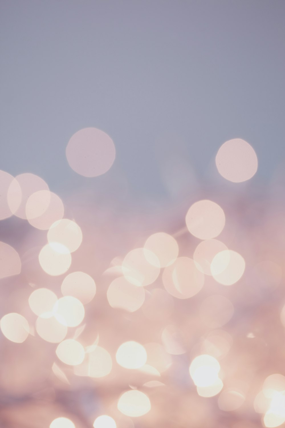 500+ Stunning Bokeh Pictures [HD] | Download Free Images & Stock Photos on  Unsplash