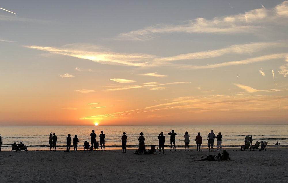 group of people on shore sightseeing