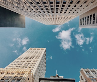 fisheye lens photography of white buildings