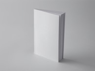 A minimalistic book with a plain white cover standing upright against a light grey background. The title 'Salt Water' and author name are embossed on the cover, adding a subtle texture.