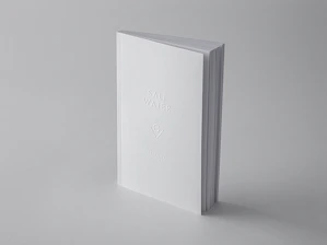 whitey book