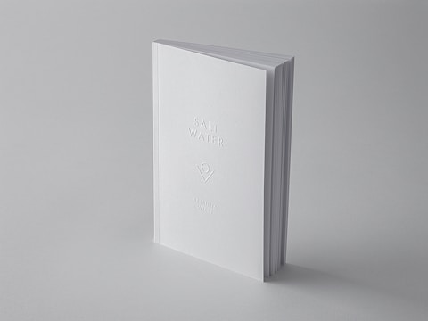 A minimalistic book with a plain white cover standing upright against a light grey background. The title 'Salt Water' and author name are embossed on the cover, adding a subtle texture.