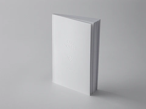 High-quality photo of a modern minimalist book cover with clean typography.