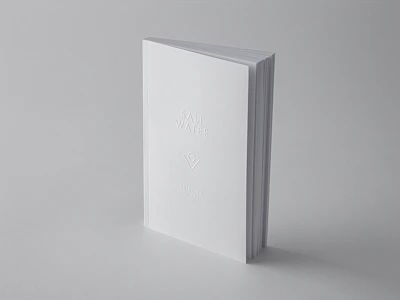 Cover of The Architecture of Silence