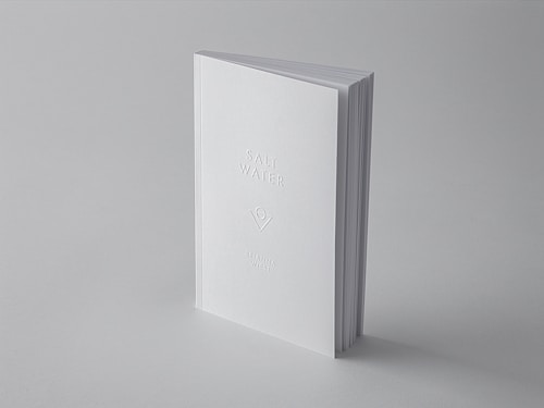 A minimalistic book with a plain white cover standing upright against a light grey background. The title 'Salt Water' and author name are embossed on the cover, adding a subtle texture.