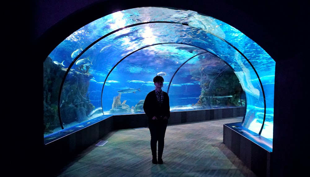 person standing inside aquarium room