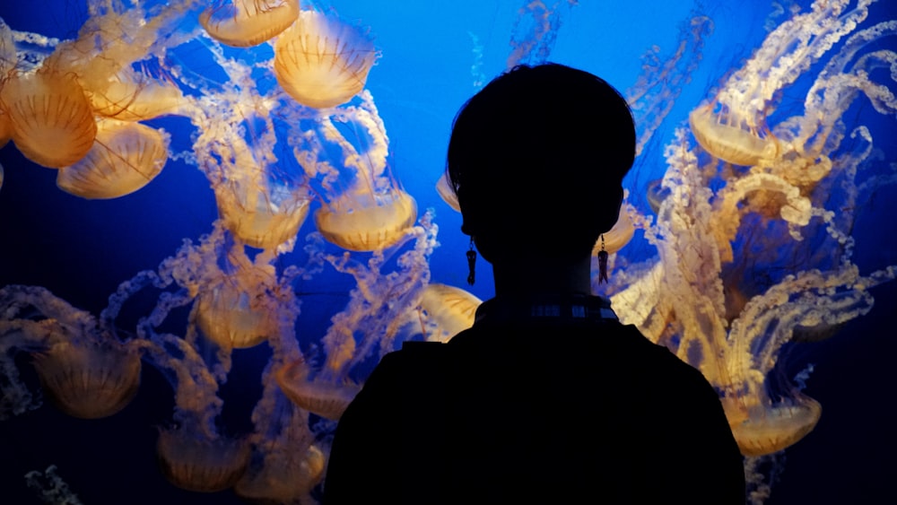 silhoutte of a person looking to a jellyfishes