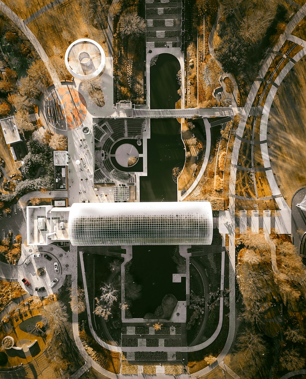 Fotografía aérea de edificios rodeados de árboles