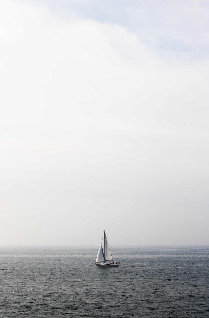 A coastline seen from the water