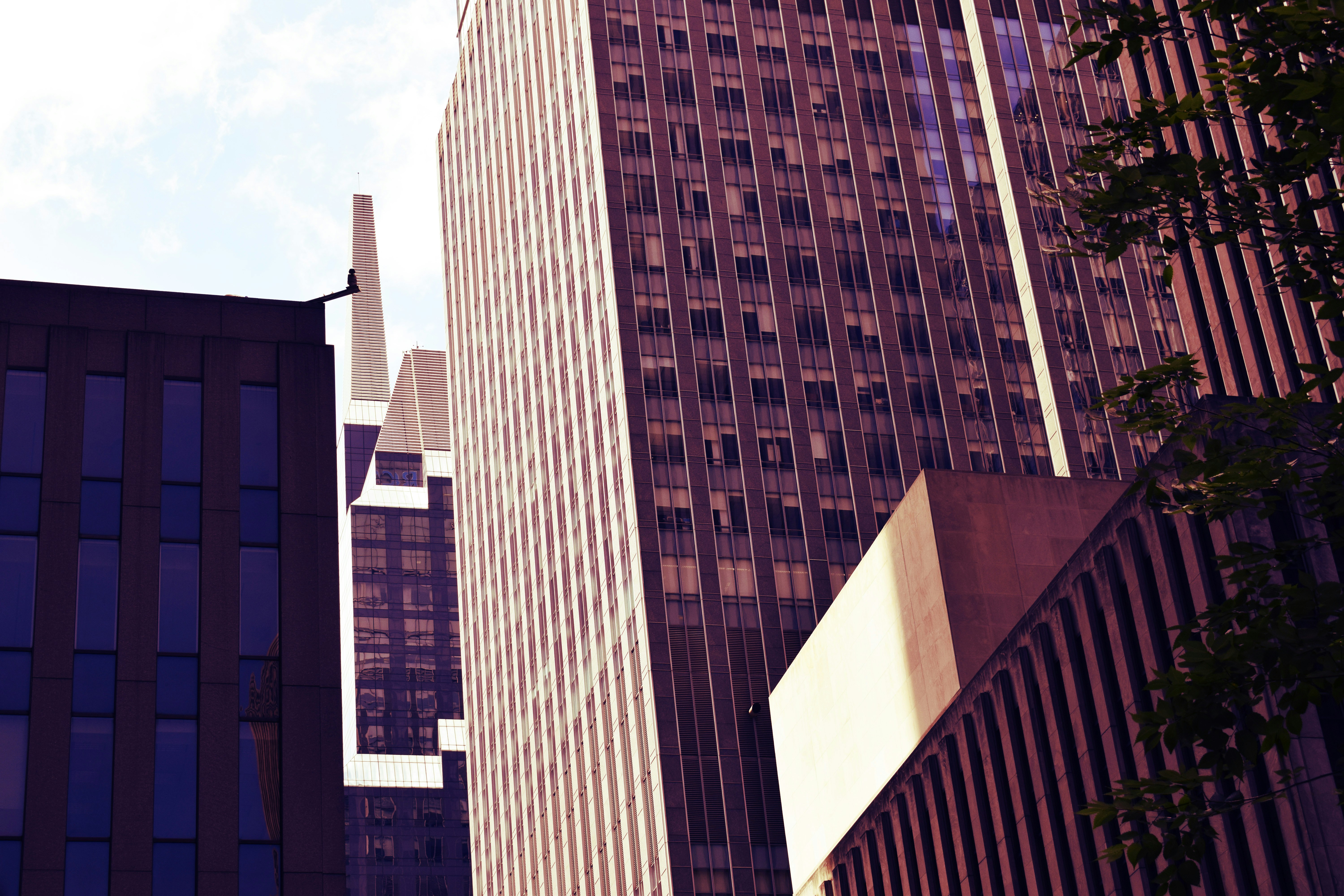 gray concrete building