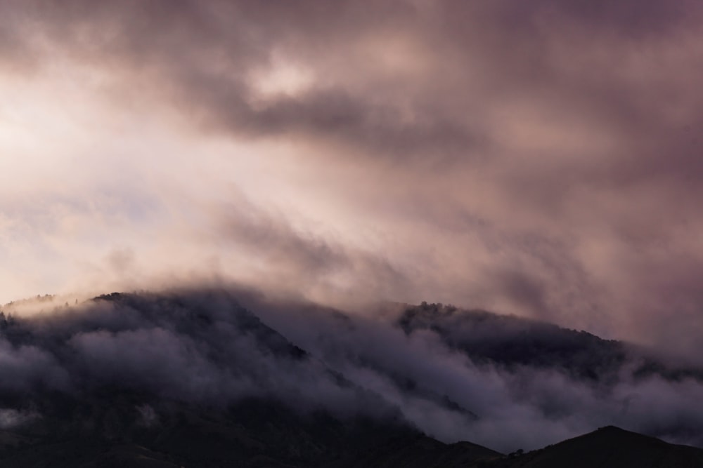 mountain surrounded by fog