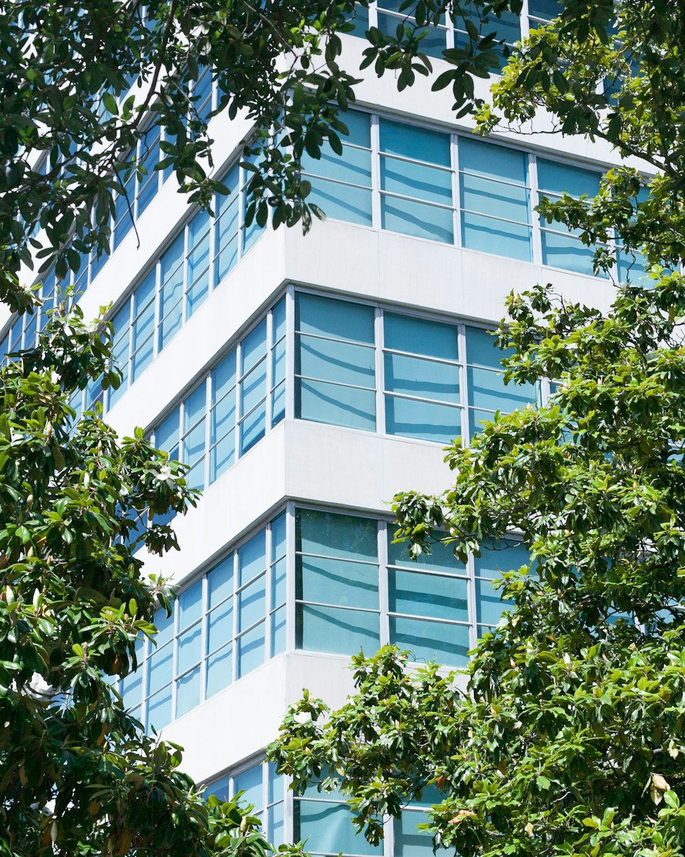 corner side of high-rise building between trees