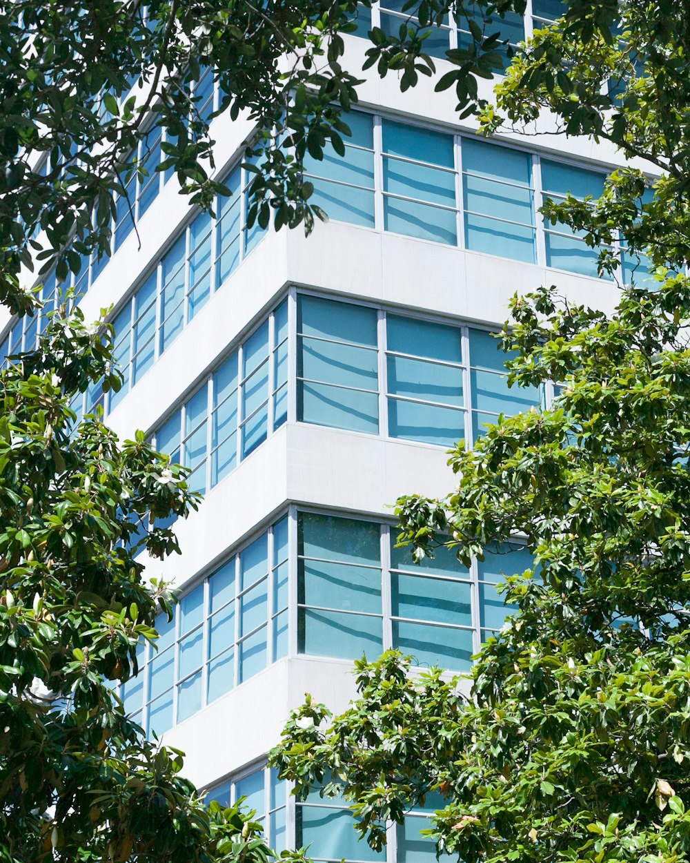 lado de la esquina del edificio de gran altura entre los árboles