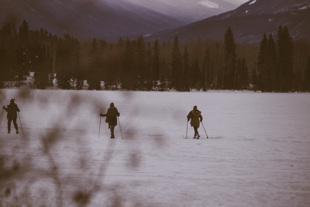 Drei-Personen-Skifahren auf Schnee in der Nähe von Bäumen