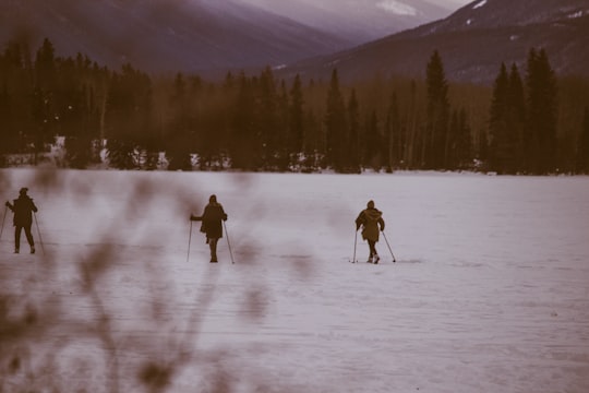 three person skiing on snow near trees in Pyramid Lake Canada