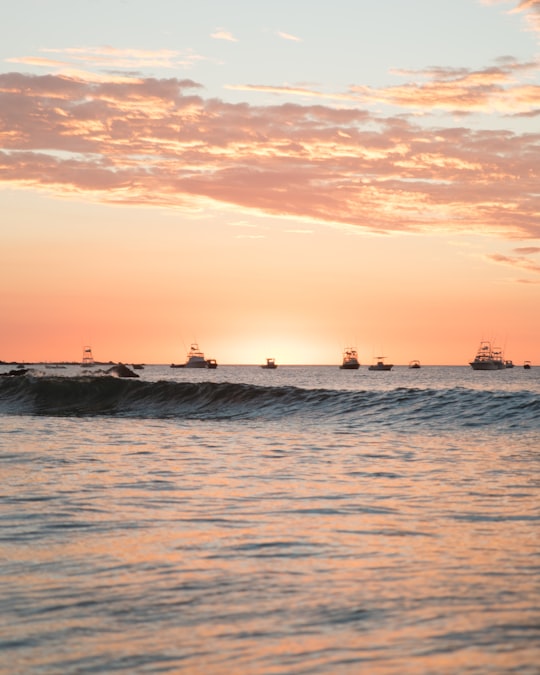 several fishing board on water during sunset in Tamarindo Costa Rica