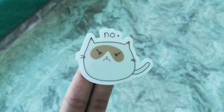 A close-up of a meme label featuring the signature mascot with a sarcastic expression.