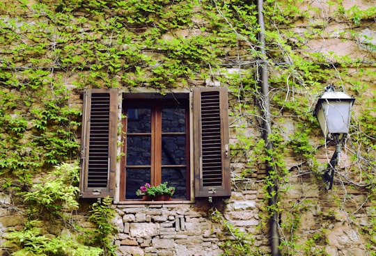 opened pane window in Tuscany Italy