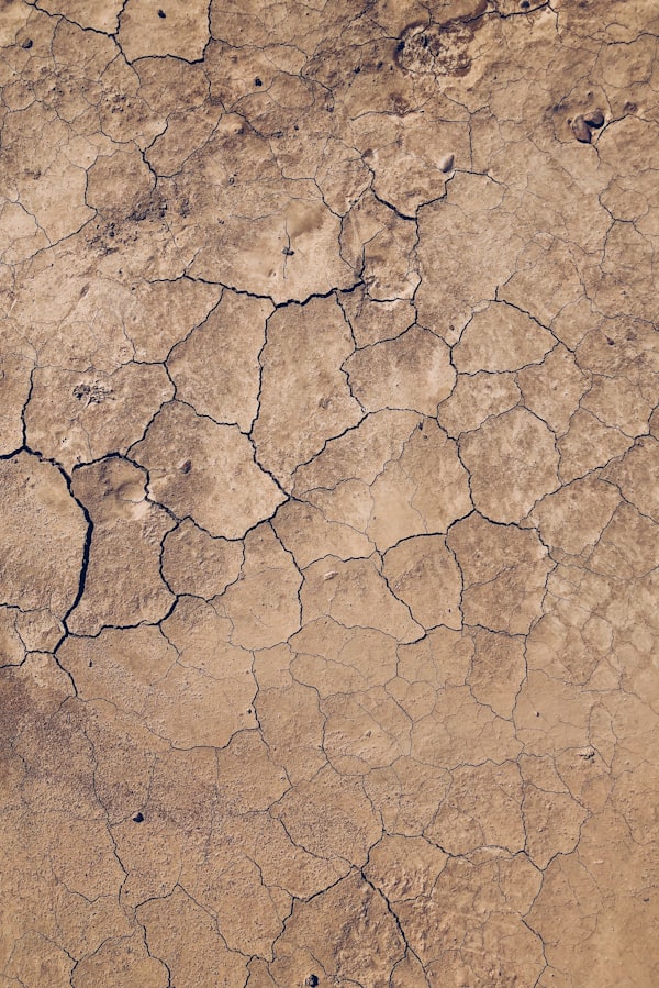 Countries need to act now as desertification and drought increase globally