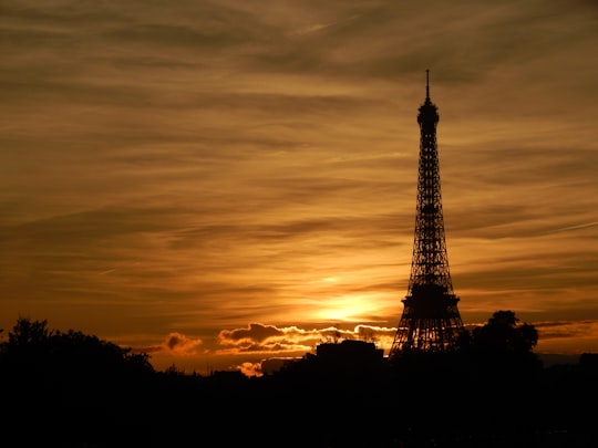 golden hour photography of Eiffel Tower, Paris in Tuileries Garden France