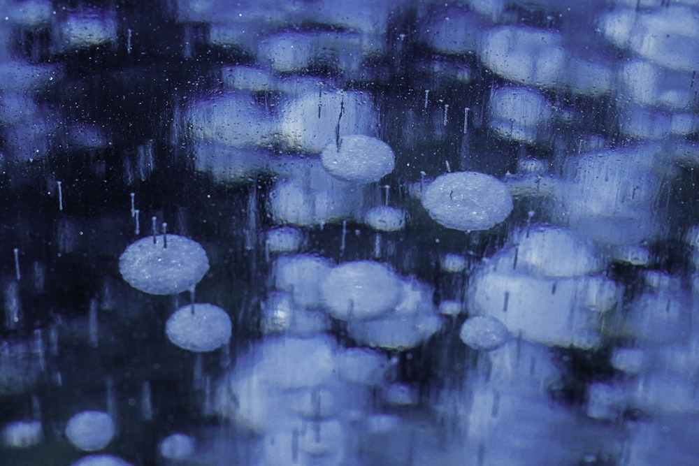 a bunch of umbrellas that are outside in the rain