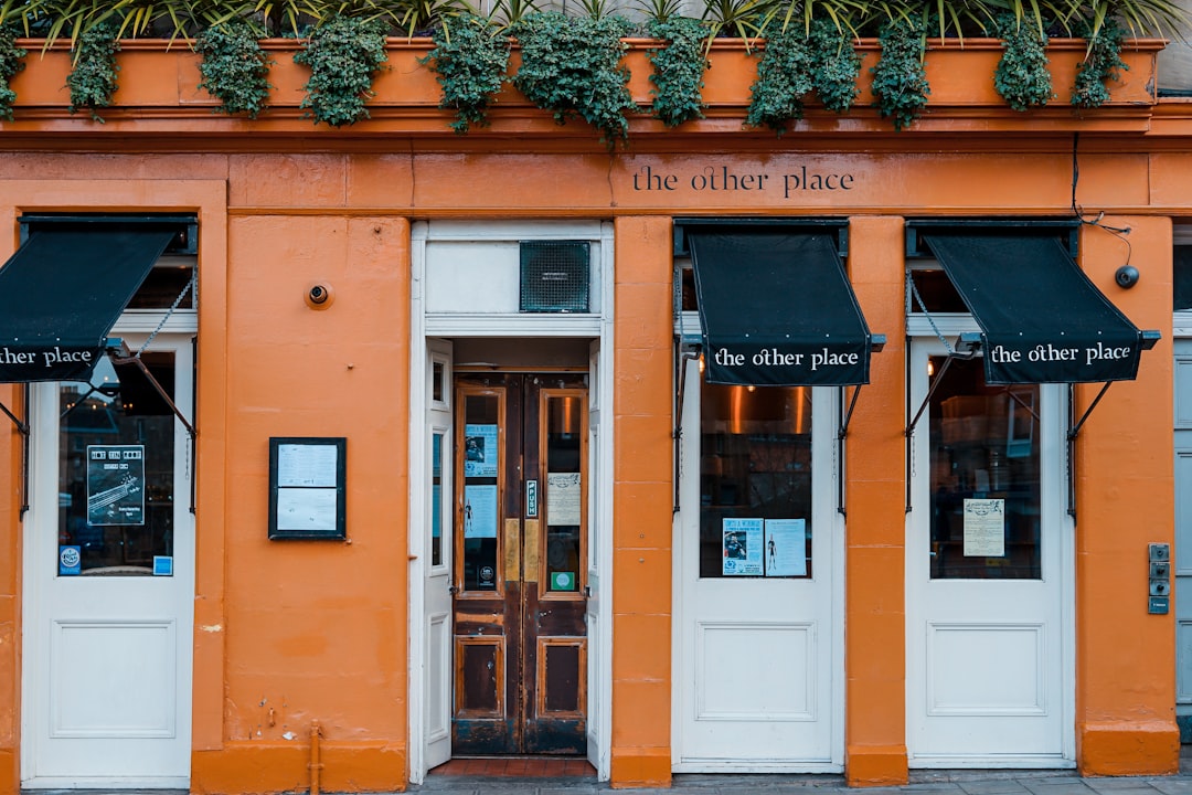 opened white wooden door, The other place