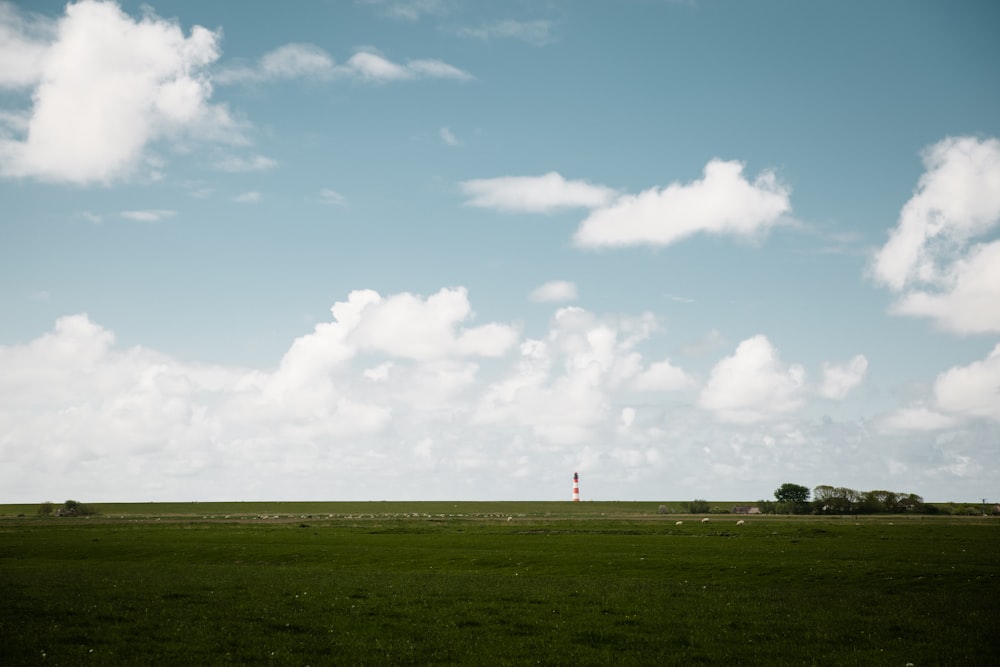 green grass field under clear blue sky