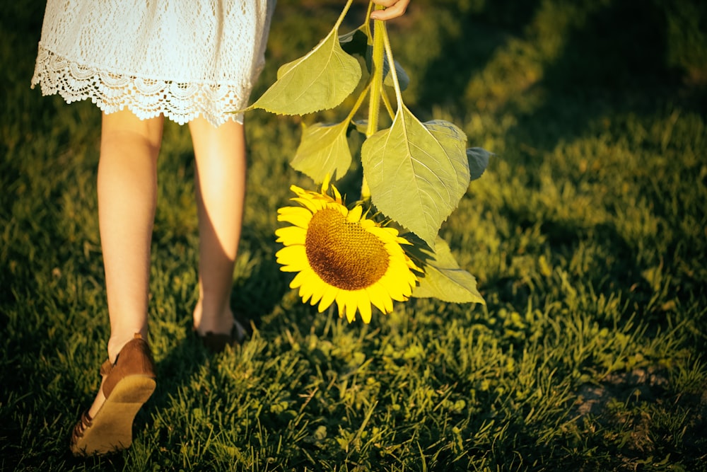 Mädchen, das tagsüber mit Sonnenblume auf dem Rasen spazieren geht